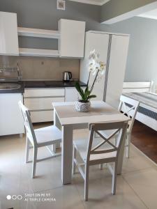 尤斯托尼莫斯基Apartamenty i Pokoje Biala Hortensja的厨房配有桌椅和花瓶