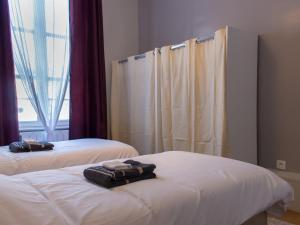 圣康坦Trankil'Apparts Centre的带窗户的客房内的两张床和毛巾