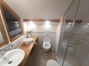 布莱德斯科克公寓的浴室配有卫生间、盥洗盆和淋浴。