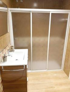 蒙福特·德·莱蒙斯Apartamento DACTONIUM - Ribeira Sacra的浴室设有滑动玻璃淋浴间门