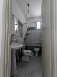 莱乌卡Elisa的一间带卫生间和水槽的浴室