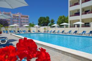 蒙蒂戈杜阿尔巴酒店的前庭红花酒店的一个游泳池