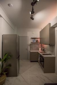 卡尔季察live it _ Karditsa的厨房配有不锈钢冰箱和水槽