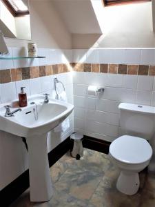 斯特兰拉尔Corsewall Arms Guest House的浴室配有白色水槽和卫生间。
