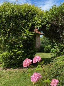 梅斯尼圣佩尔Les Cottages d'Orient Premium的一座房子前面的灌木丛,花粉红色