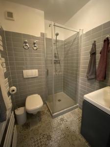 德累斯顿Erholen Garantiert的带淋浴、卫生间和盥洗盆的浴室