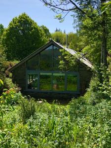 奈顿Llethrau Forest & Nature Retreats的一个小房子,上面有大玻璃窗