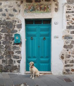 奥罗塞伊B&B Sa domo de sos Massaios的一只狗坐在蓝色门前