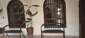 圣克鲁斯Hotel el super 8的两把椅子和两扇窗户前的植物