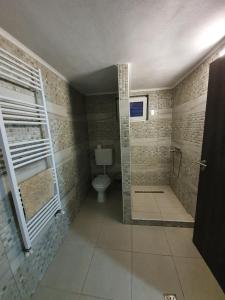 ChişcăuSergillioHouse的带淋浴和卫生间的浴室。