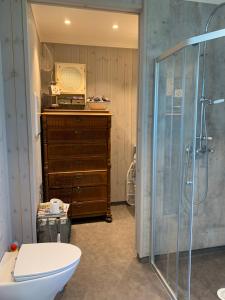 利勒哈默尔The Gingerbread House的带淋浴、卫生间和盥洗盆的浴室