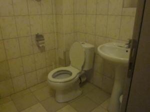 斯维什托夫维赛酒店的一间带卫生间和水槽的浴室
