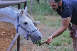 Kfar HazîrThe Ranch的喂一匹白马养一堆草的人