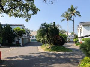 斗六市星辰庭園汽車旅館的棕榈树住宅区内的街道