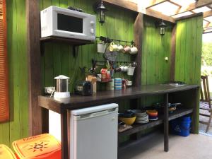 凯卡瓦自治市桑给巴尔露营旅馆的厨房设有绿色的墙壁、微波炉和冰箱。