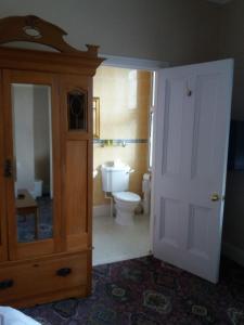 诺廷利Wentvale的一间带卫生间和木制橱柜的浴室