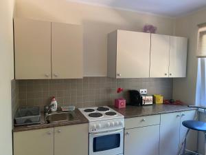 纳尔瓦约埃苏Apartment on Karja的厨房配有白色橱柜、炉灶和水槽。