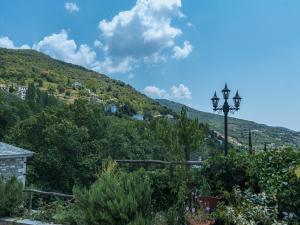 马克里尼撒To Stefani tis Makrinas的花园享有山景。