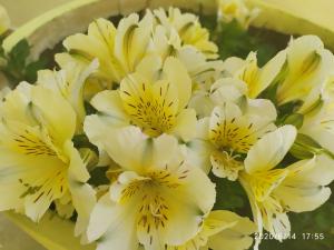 卡拉米锡雷尼亚公寓式酒店的花瓶里一束白色和黄色的花