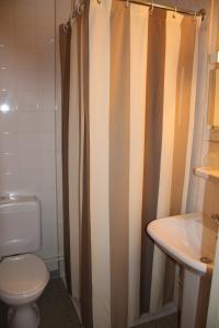 克卢尼saint odilon的一间带卫生间和淋浴帘的浴室