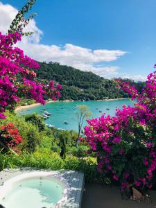 塞尔苏拉穆斯州长镇Mar de Bougainville的享有水体和粉红色花卉的景色