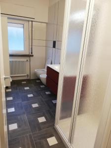 托尔博莱SKY的一间带卫生间和玻璃淋浴间的浴室
