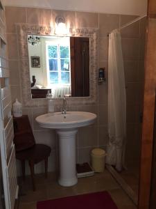 Prez-sous-LafaucheGrande et belle demeure的一间带水槽、镜子和淋浴的浴室