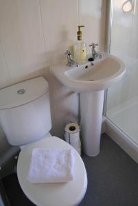 朗日Snowdon Cottage 2的浴室配有白色卫生间和盥洗盆。