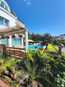 阳光海滩Milennia Family Hotel的一座带游泳池和植物的房子
