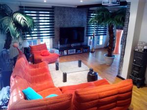 阿格诺Moderne Home original design的客厅配有2张橙色沙发和电视