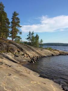 SandöverkenSjövillan Bed & Breakfast的一片种满树木和水体的岩石海岸