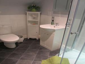 因弗内斯斯姆旅舍的浴室配有卫生间、盥洗盆和淋浴。