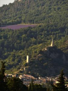 VolonneGîte Le Lavandin的享有小山上的城镇和树木的景色