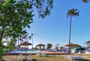 普拉亚德米拉Mira Lodge Park的一个带椅子和遮阳伞的游泳池