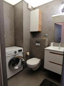 克拉科夫Green Apartments Kraków的小型浴室设有洗衣机和水槽。
