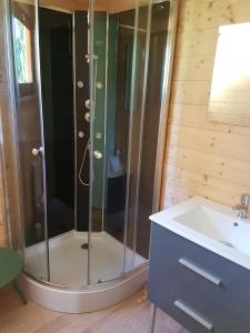Ban-sur-Meurthe-ClefcyInsolite Chalet de pêche Sérénité - Bien Etre的带淋浴和盥洗盆的浴室