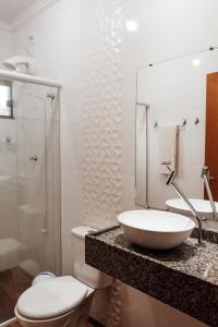 佩尼亚Hotel Engenho的一间带水槽、卫生间和镜子的浴室