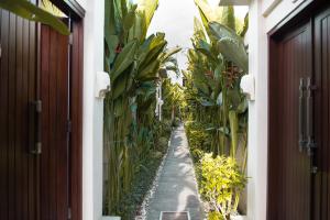 塞米亚克巴厘岛我家别墅的植物繁茂的房子的走廊