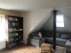 利普托夫堡Pri Hrade的带沙发和书架的客厅