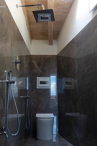 布雷西亚SPIRIT of the MOON的带淋浴和卫生间的浴室