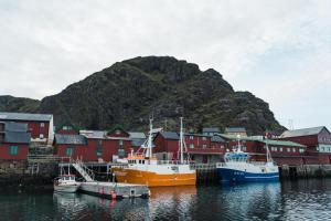 斯塔姆松Live Lofoten Fishermen's Cabins的一群船停靠在山 ⁇ 的港口