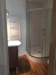 兹维日涅茨Kwatera Pod Bukowa Gora的带淋浴、盥洗盆和镜子的浴室