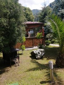 高尼奥Vacation Home Nukri的花园中的小屋,花园中设有长凳和树