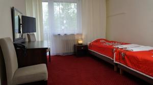 扎科帕内Dafne Zakopane的一间卧室配有一张床、一张书桌和一台电视