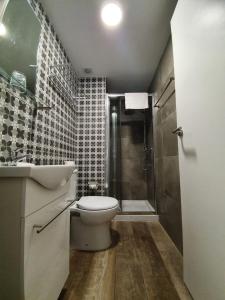 阿利坎特hostal olozaga的浴室配有卫生间、盥洗盆和淋浴。