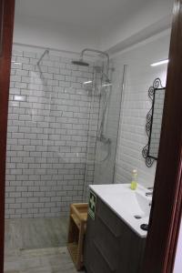 萨格里什Beach front apartment 1的带淋浴和白色盥洗盆的浴室