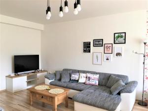 卢奇基Style Apartment Lúčky的客厅配有灰色的沙发和电视