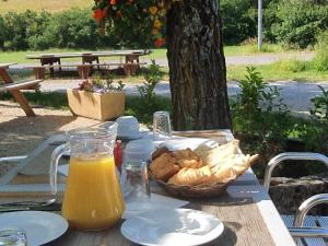 韦尔东河畔拉帕吕Auberge des crêtes的野餐桌,包括一篮面包和橙汁