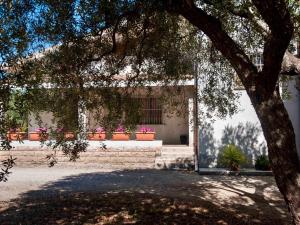 阿尔盖罗Villa Hermosa的一座有盆栽植物和树的建筑