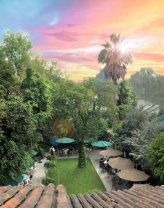 墨西哥城公园别墅酒店的相册照片
